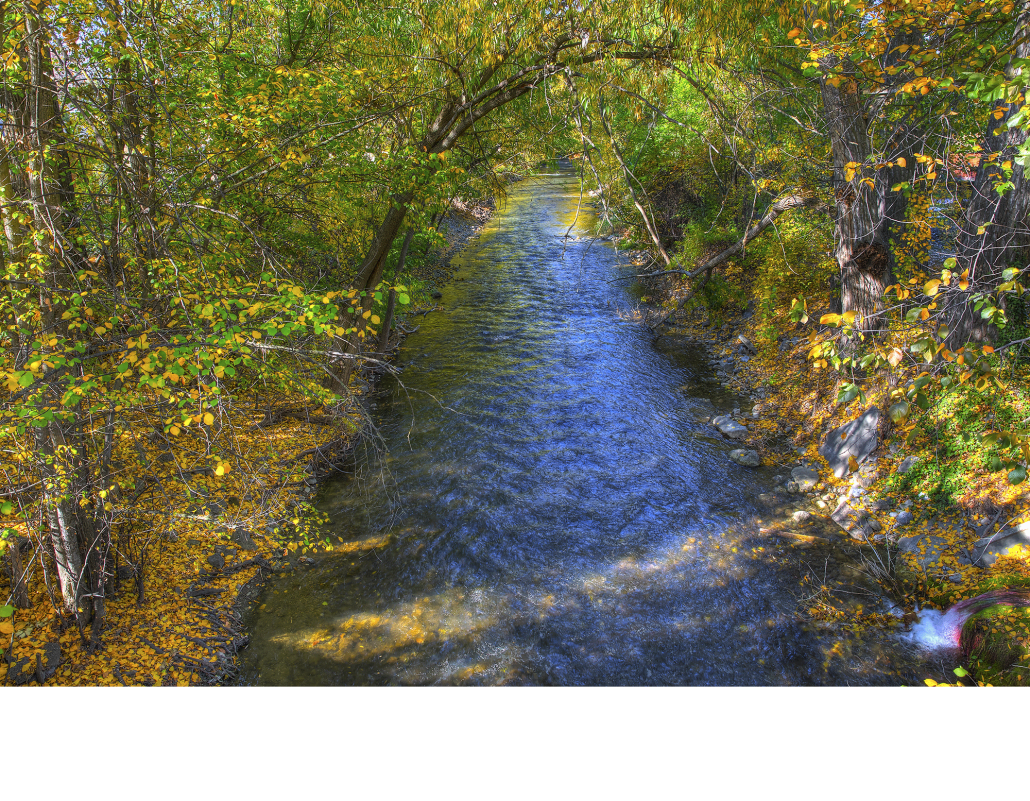 The River in River Heights